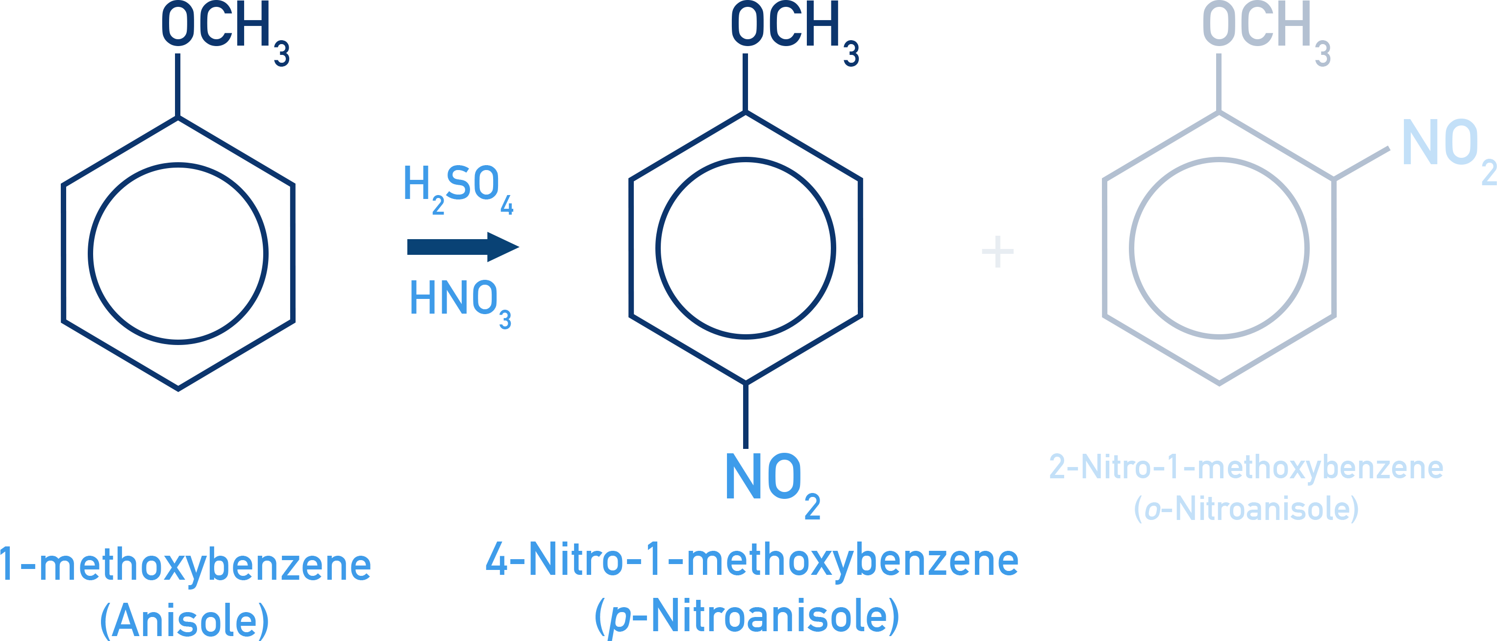 NCERT Class 12 Chemistry nitration of anisole giving ortho- and para-nitroanisole as the major products.