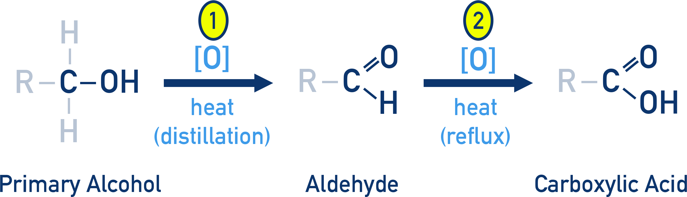 NCERT Class 12 Chemistry oxidation pathway for primary alcohols to aldehydes and then carboxylic acids with oxidising agents.