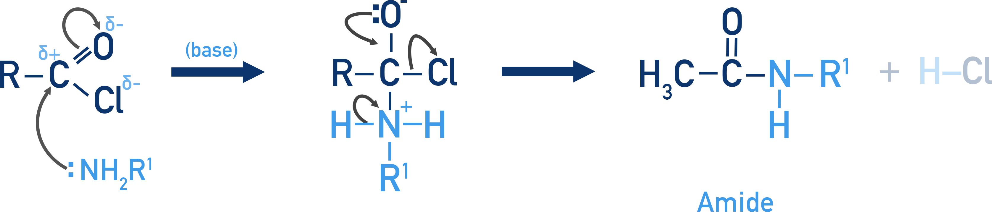 NCERT 12 Chemistry acylation of a primary or secondary amine with an acid chloride to form an amide.