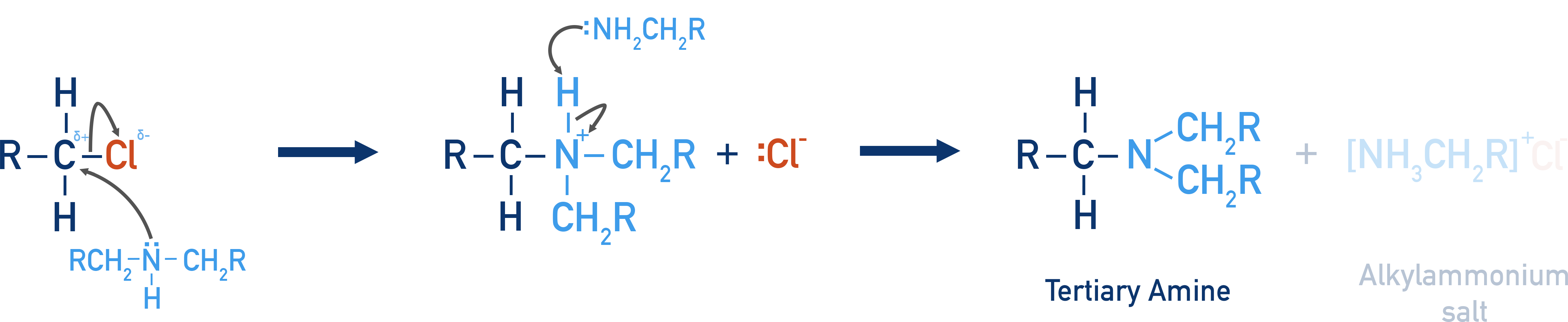 NCERT Chemistry Class 12 Amines mechanism showing secondary amine reacting to form tertiary amine.