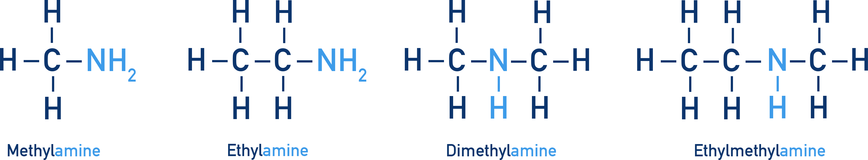 NCERT 12 Chemistry image showing examples of common names for primary, secondary, and tertiary amines.