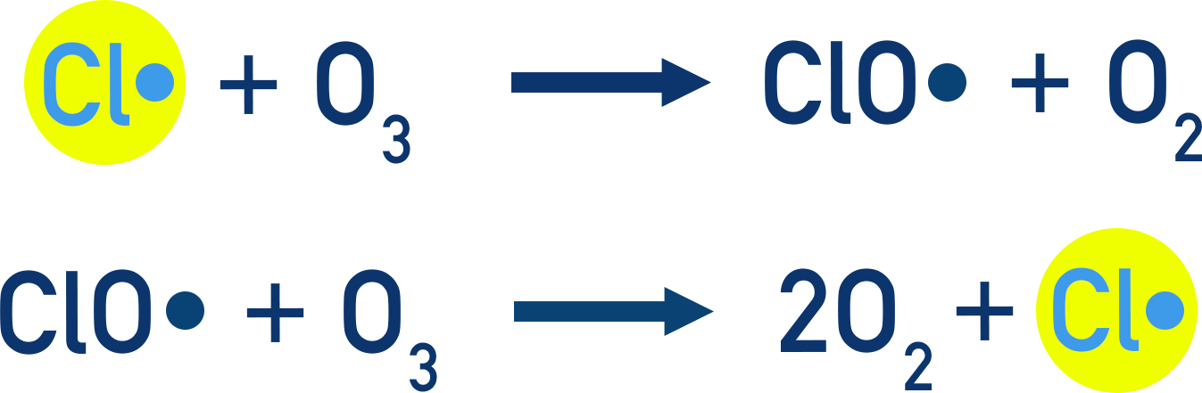 OCR (A) A-Level Chemistry diagram showing chlorine radicals reacting with ozone.