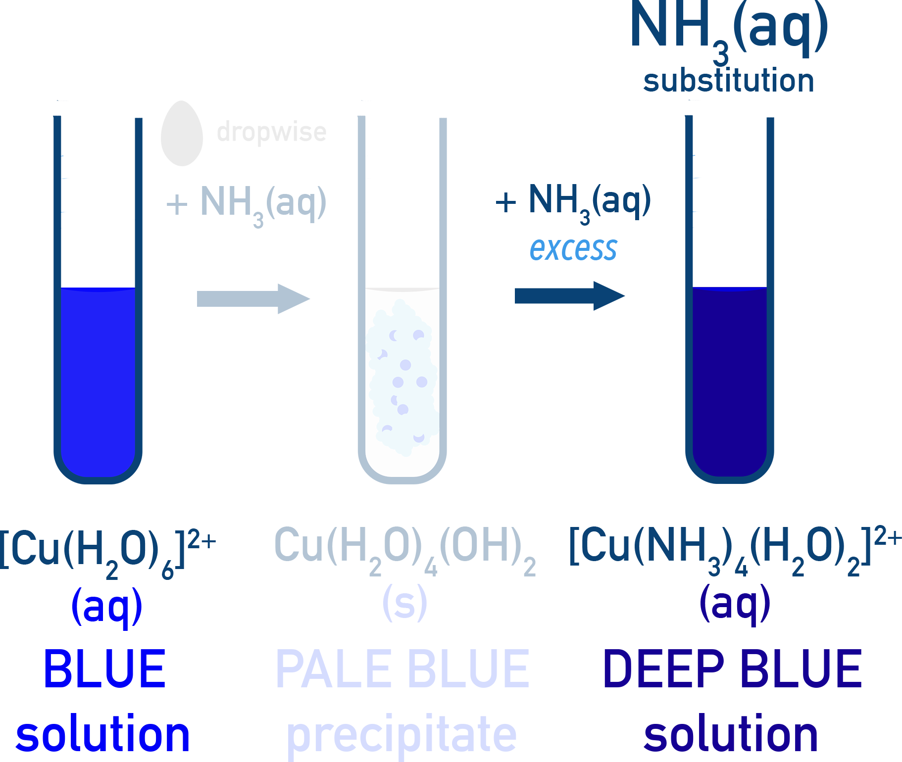 OCR (A) A-Level Chemistry ligand substitution with copper(II) and ammonia.
