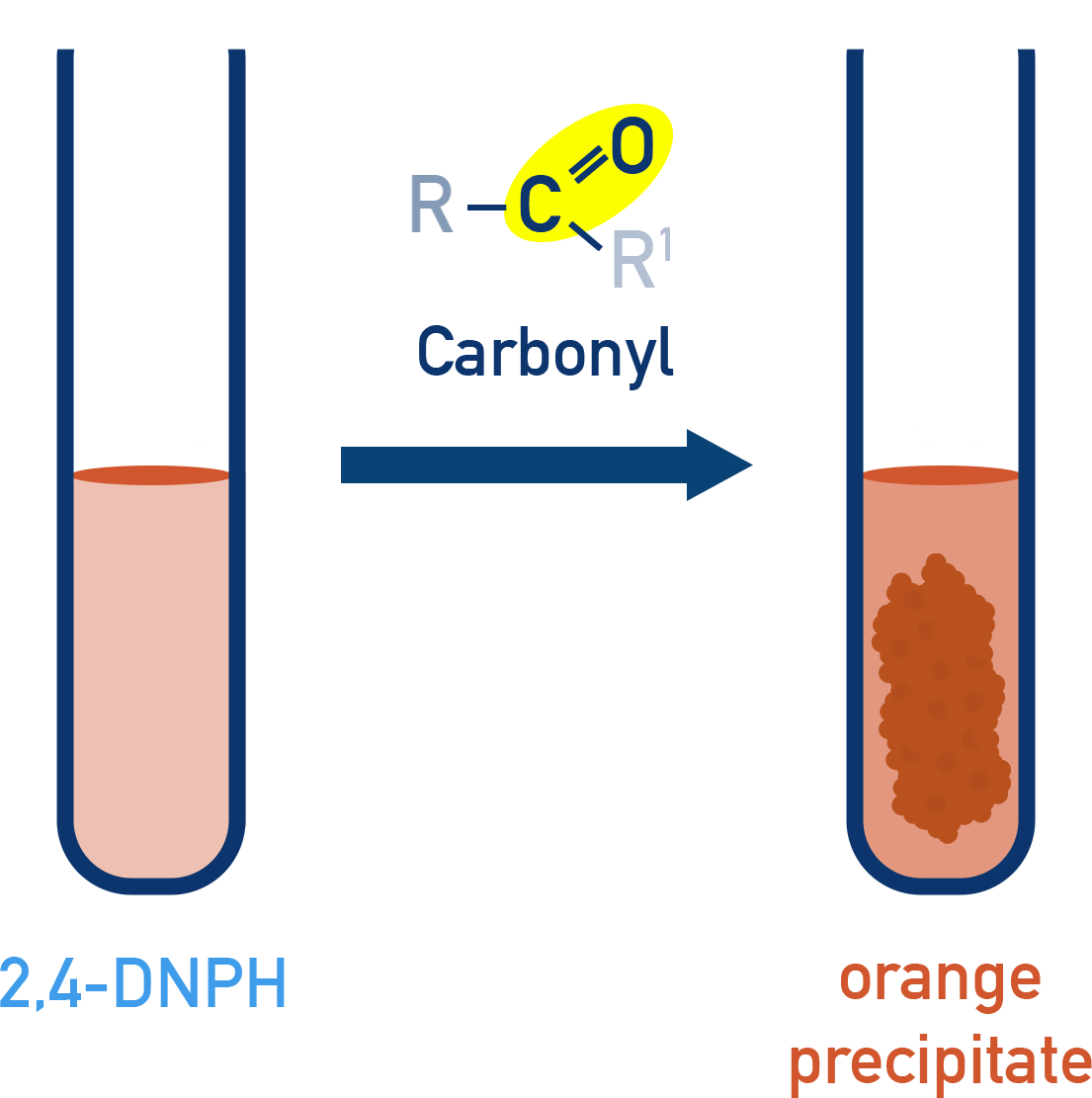 OCR (A) A-Level Chemistry Brady’s reagent colour changes used in the 2,4-DNPH test for carbonyls.