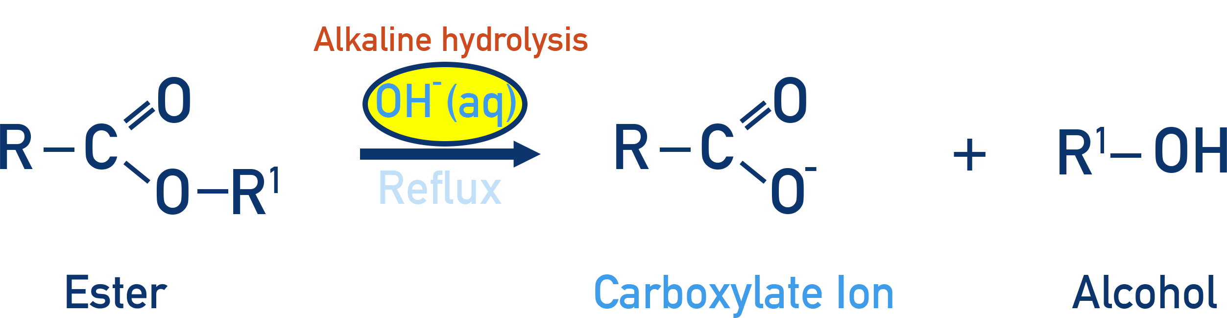 OCR (A) A-Level Chemistry alkaline hydrolysis of esters forming carboxylate salt and alcohol.