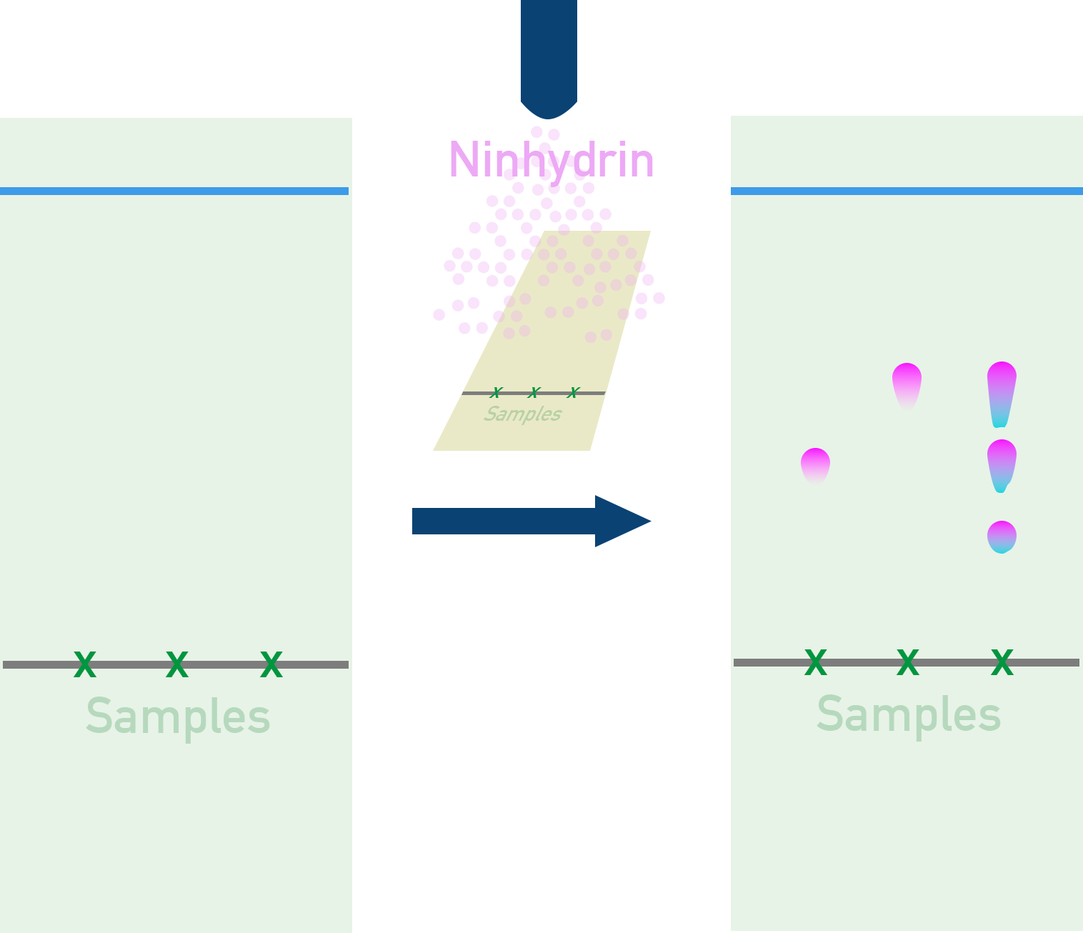 Visualisation of TLC plate spots with UV lamp or locating agent.