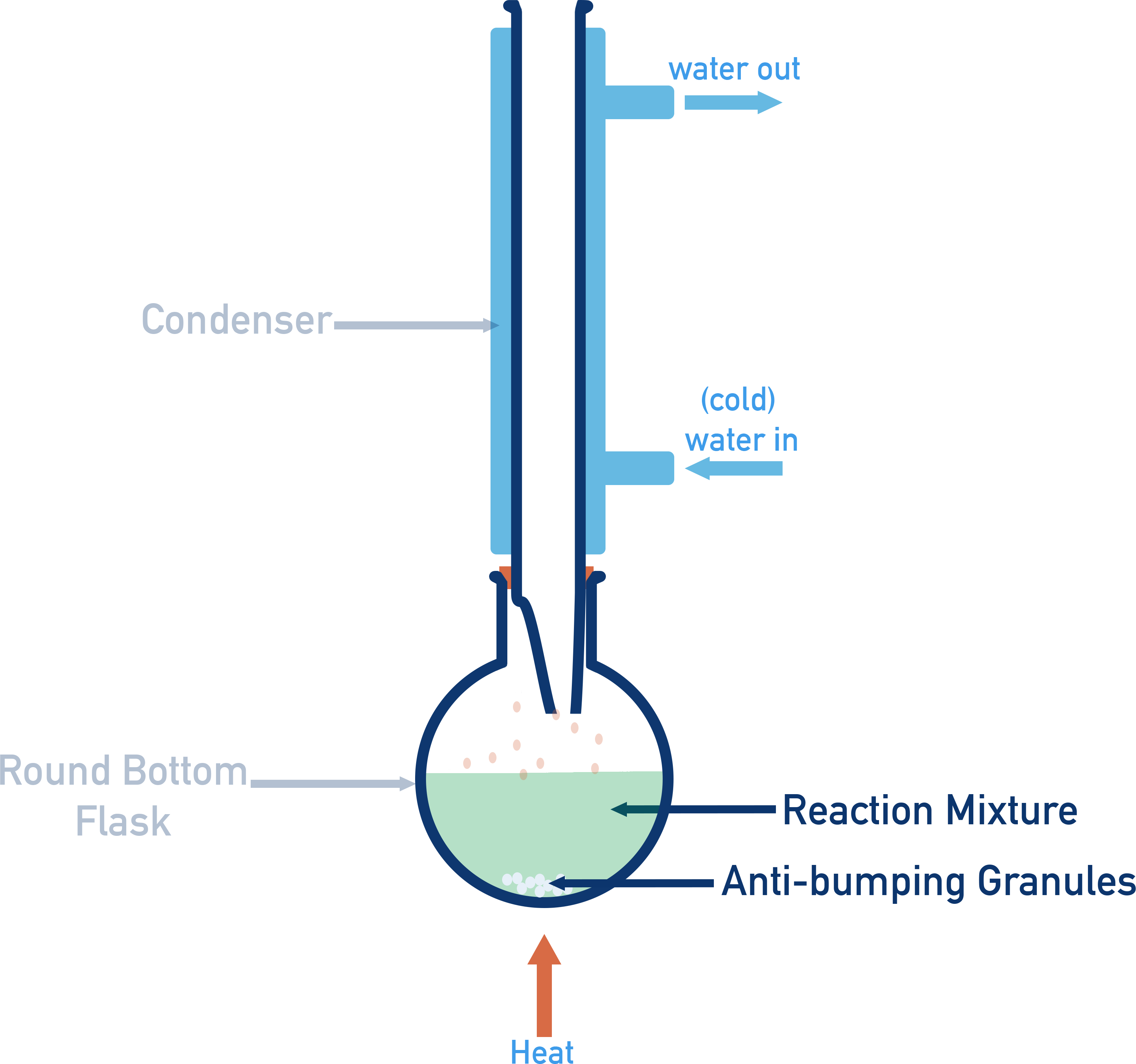Reflux apparatus for esterification using a round-bottom flask and condenser.